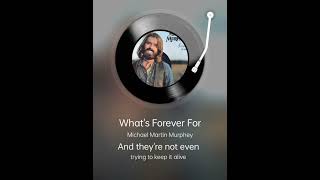 Whats forever forMichael Martin Murphyduet music nocopyrightmusic coversong Bellaofella [upl. by Refannej]