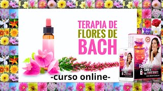 🔎 Cómo Aprender FLORES de BACH Paso a Paso [upl. by Gaige]