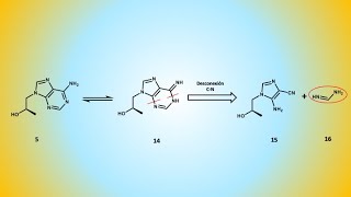 Tenofovir disoproxil antiviral vs VIH y VHB análisis retrosintético II [upl. by Uzziel]