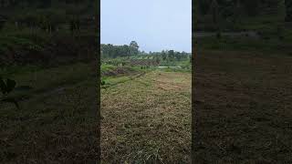 See the foothills viralvideo views viralshorts video [upl. by Sackey]