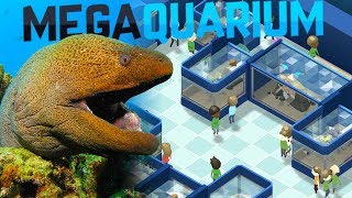 Megaquarium  Moray Eels And Giant Tanks  Our New Aquarium  Megaquarium Gameplay [upl. by Nnewg998]