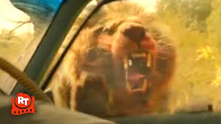 🔴 Angry Lion Want Very Much To Kill A Man 1080p 🔴 [upl. by Oreves220]