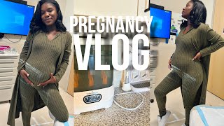 3rd Trimester Pregnancy Vlog Labor Prep Meeting Doctors  Nesting [upl. by Annairdua]