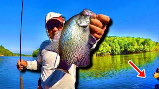 THIS Method IS Second To None Crappie Fishing From The Bank [upl. by Tamas840]