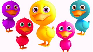 Five Little Ducks Went Out One Day  5 Little Ducks  Nursery Rhymes Collection 3D [upl. by Ahserb]