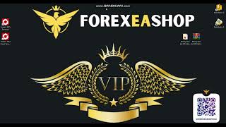 Money Box EA  How to video setup  ForexEAshop [upl. by Eirased]