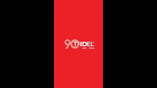 Tridel  90 Years of Home Building [upl. by Vin]