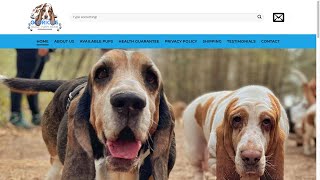 Is Gloriousbassetscom legit or a scam [upl. by Ardnaiek]