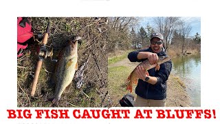 WE CAUGHT A BASS  Pond Snatchers S1E1  Scarborough Bluffers Park Fishing [upl. by Lebazej]