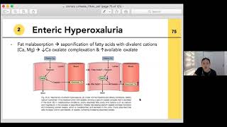 VMMC Campbell lecture series Urinary lithiasis [upl. by At142]