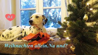 Weihnachten alleinNa und [upl. by Tecil]