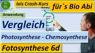 Vergleich Chemosynthese und Photosynthese nach relevanten Kriterien unter Nutzung der Basiskonzepte [upl. by Sontag]