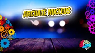 Arcuate nucleus  Know It ALL 🔊✅ [upl. by Netsuj]