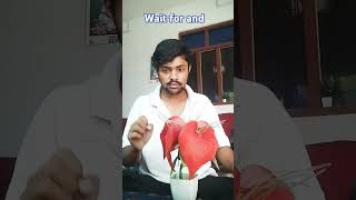 Tum sirf meri ho sortcomedy treandingshort funny virealshort [upl. by Teerpnam422]