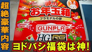 【2023年ガンプラ福袋開封】15万円のヨドバシカメラ製ガンプラ福袋の中身が総額〇〇万円でヤバすぎる！最新ガンプラとゴッドハンドのあのニッパーが！！ [upl. by Enetsuj]