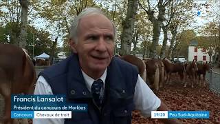 Chevaux de Trait Concours Morlàas 2018 [upl. by Nyhagen86]