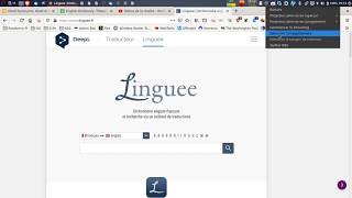 Tutorial How to use Linguee [upl. by Watt]