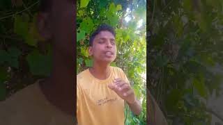 আমি খেলার পুতুল নাshortvideo [upl. by Fabria]