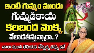 Intiki Gummadikaya Eppudu Kattali  ఇంటికి గుమ్మడికాయ ఎప్పుడు కట్టాలి  Gummadikaya  Nara Disti [upl. by Knitter]