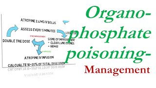 OP poisoning management [upl. by Roman680]