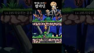 메이플스토리 모험가 전사 팔라딘 레벨업 maplestory adventurer warrior paladin levelup [upl. by Nelyk]