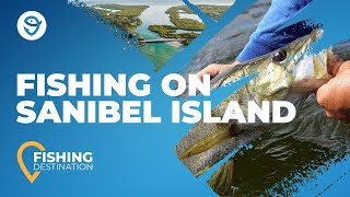 Fishing on Sanibel Island The Complete Guide [upl. by Stew]