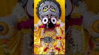 Satare Tu Srimandire Achhu Ki NahuNew Odia Jagannath Bhajan CoverbyRkyoutubeshorts shorts [upl. by Oby]