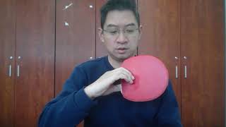 Two Penhold grip style for RPB  Table Tennis [upl. by Nosdivad]