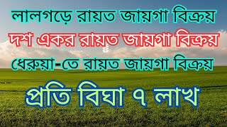 10একর • লালগড়ে রায়ত জায়গা বিক্রয় landforsale investment investor investmentproperty 99acres [upl. by Aihsiym472]