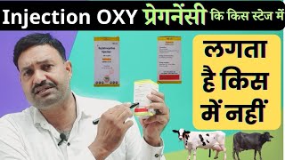 Inj OXY Pregnancy की किस स्टेज में लगता है कब नहीं Oxytetracycline Injection Veterinary [upl. by Airt]