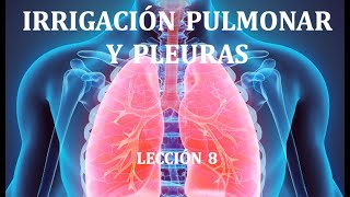 8 IRRIGACIÓN PULMONAR Y PLEURAS [upl. by Annovahs]