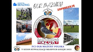 OLR MAZURY 2022 PIERWSZE GOŁĘBIE V EDYCJI [upl. by Isiad]