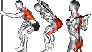 The Best Mobility Exercises to Improve Your Posture [upl. by Daniele732]