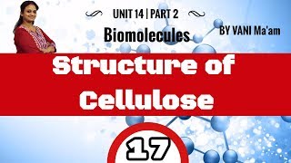 Structure of Cellulose I Part 17 I Biomolecules chemistry cbse class 12 by Vani Maam [upl. by Eidod]