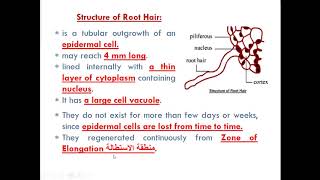 Episode 1 chapter 1 Nutrition in living organisms [upl. by Rhea70]