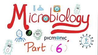 Microbiology  Moraxella catarrhalis Neisseria gonorrheae Neisseria meningitidis Picmonic Part 6 [upl. by Antony834]