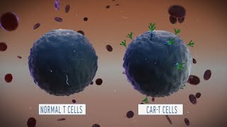 A Look at How CART Cell Therapy Works [upl. by Doty]