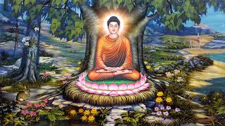 Phật Thích Ca  Background Video Shakyamuni Buddha Full HD  015 [upl. by Nerraw]