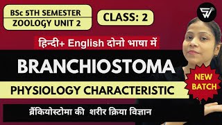 Amphioxus or Branchiostoma Physiological Characteristics BSc 5th SemUnit 2 [upl. by Rosenfeld]