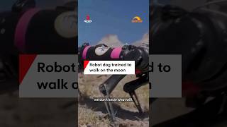 Robot dog trained to walk on the moon [upl. by Oivaf]