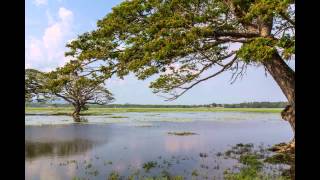 Jetwing Blue Negombo [upl. by La]