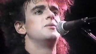 Soda Stereo en Viña del Mar 1987 Signos [upl. by Rheingold]