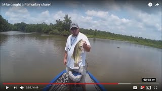 Mike caught a Pamunkey chunk [upl. by Ttereve]