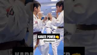 KYUKOSHIN KARATE FULL CONTACT PUNCH TRAINING  karate bodybuilding brucelee [upl. by Smoot]