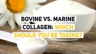 Bovine vs Marine Collagen Which Should YOU be Taking [upl. by Lehcyar]