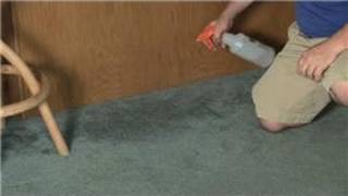 Carpet Cleaning  How to Remove Mildew amp a Musty Smell From Carpet [upl. by Anaehs]