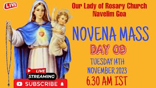 Novena Day 9  Konkani Mass  Our Lady of Rosary Church Navelim  14th November 2023  tfrcctv [upl. by Lehcem]