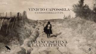 Vinicio Capossela  FRANCESCHINA LA CALITRANA  Canzoni della Cupa [upl. by Grogan]