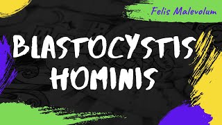 Blastocystis hominis [upl. by Ainatit]