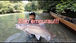 wild mahseer fishing Kalimantan [upl. by Akinek299]